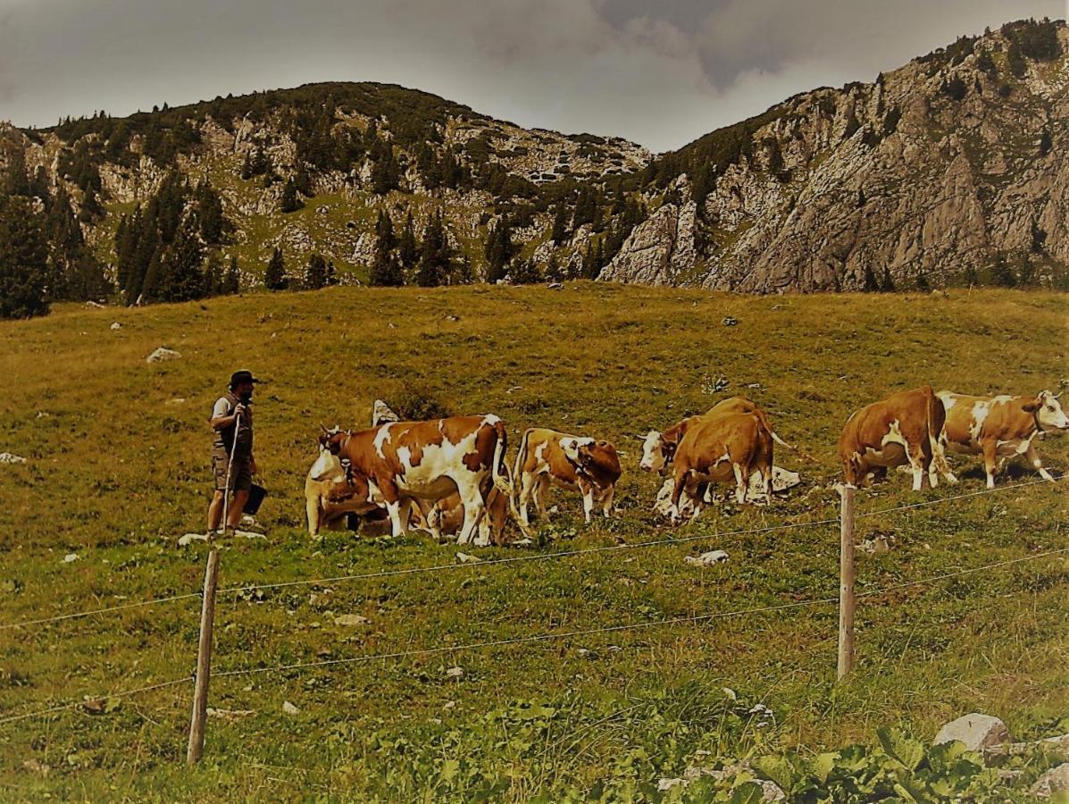 Landhotel Zum Staffelwirt Яхенау Екстериор снимка